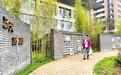 廊坊：巧妆“边角地” 城市添新景