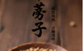 “AI”上中医药·每天认识一味中草药（57）｜牛蒡子