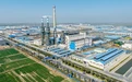 盐城市射阳县临海镇聚力发展求实效 勇当沿海排头兵