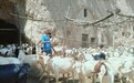 灵台驻村第一书记手写470余民情档案　带乡亲走致富路