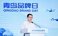 海信贾少谦：质量是品牌的底线，极致是品牌的追求