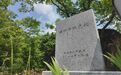 331国道吉林段：烽火记忆 抗联丰碑