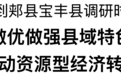 刘宁到郏县宝丰县调研