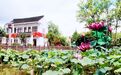 布局产业、唤醒乡愁，通州石港把文化记忆转化为发展动能