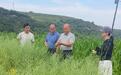 亮剑群众身边不正之风和腐败问题　甘肃一地处分227人