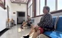 基层中医馆从有到优　灵台群众家门口有“医”靠