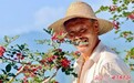 两当椒红满山坡