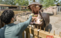 河马泡澡啃西瓜 袋鼠吹空调吃沙拉！武汉动物园的动物们清凉过夏