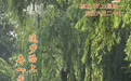 “你好，运河”（82）：每一步都算数