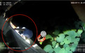 女子跳河轻生，安徽砀山民警奋力救人