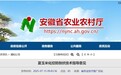 安徽省农业农村厅发布夏玉米化控防倒伏技术指导意见