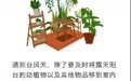 台风橙色预警生效 珠海高新区全力落实防台风工作