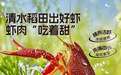 良品铺子潜江小龙虾双味火锅套餐，解锁夏日味蕾的新体验