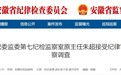 曾破格提拔，安徽一“内鬼”通报被查！
