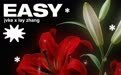 《easy》上线，JVKE携手张艺兴共鸣“说不出口的爱”