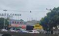 贵阳街头一只猴子在高空走电线 网友调侃“猴子成精”