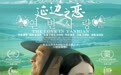 美丽中国音乐电影《延边之恋》国际获奖华光闪耀