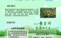青岛黄金坪向“文旅同路人”发出邀请：定向招商，共赴新篇！