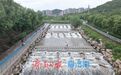 雨润泉城，龙鼎滨水公园碧波荡漾叠瀑重现
