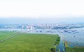 数千渔民上岸转产，无数动植物自然繁衍，古城岳阳倚水而兴、跻身“国际湿地城市”，请看东洞庭湖的生态智慧—— 一湖碧水万物共生