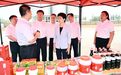 梁惠玲到佳木斯市和鹤岗市调研