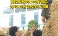 安徽一高校采购50000斤西瓜为学生消暑