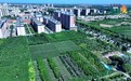 “乡”约张掖临泽“在水一方”　来场桃香蟹肥舌尖之旅