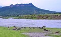 羣眾監督|江油武都：河道成“放牛场” 水源保护警示牌形同虚设