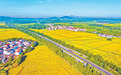 抚州金溪：路畅景美（图）