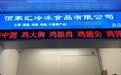 香港玉湖集团冷链平台赋能商户：从传统批发到智慧供应链的转型之路