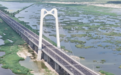 守护生态美！龙凤湿地构建野生动物保护体系