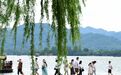 浙江局地39℃以上 今起高温强势回归