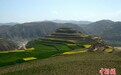 西周时已有高鼻深目胡人　陇上国宝破译民族交融密码
