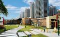 荒地→活力空间！新会建筑业企业，“百千万工程”的“超级合伙人”！