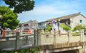 高温出逃计划：躲进镇海600年古村，找回被稻香蝉鸣填满的夏天