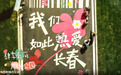 治理一条河，激活一座城：肆季南河火爆背后的城市更新密码