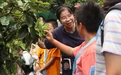 粤港澳青少年红树林生态解码活动举行