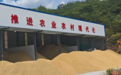 湖南：智能烘干守护粮食收获“最后一公里”