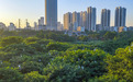 南昌象湖湿地公园：绿树成荫 城市家园（图）