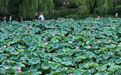 湿度50%以上！浙江人“蒸桑拿” 局地10级雷暴大风