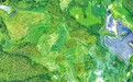 上堡梯田犹如“大地指纹”（图）