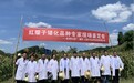 《茅台发布红缨子“519”第七代高粱种》