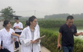 光合纯净团队深耕生态高效渔业 守护粮仓助农增收