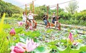 庐山市：暑期乡村旅游热（图）