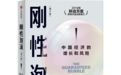 从“刚性泡沫”到“韧性市场”：朱宁教授解读债务与楼市的双重挑战