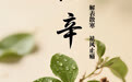 “AI”上中医药·每天认识一味中草药（81）｜细辛