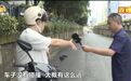 导航错误突然停车，身后女车主“零接触”摔倒骨折