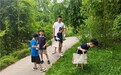把自然“袋”回家！—青山湖科技城育才小学树叶侦察队这样践行绿色童年