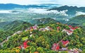 美丽答卷山水间——写在全国生态日到来之际