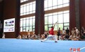 世界青年看中国：走进河北孟村 探秘中国“功夫”